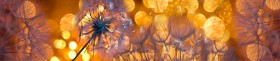 Кухонный фартук Мерцание Одуванчики золотистые 3 серебро в Выборге - vyborg.katalogmebeli.com | фото